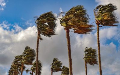 Navigating the storm: hurricanes and commercial real estate