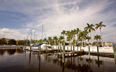 Manatee Outlying Office: Strong Demand Drives Near-Full Occupancy